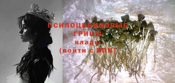 соль курить ск Алексеевка