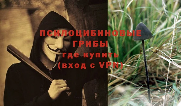 соль курить ск Алексеевка