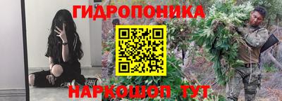 мдпв Нальчик