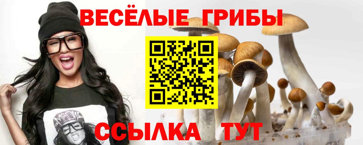 Ступино  Псилоцибиновые грибы GOLDEN TEACHER  Вход с VPN 